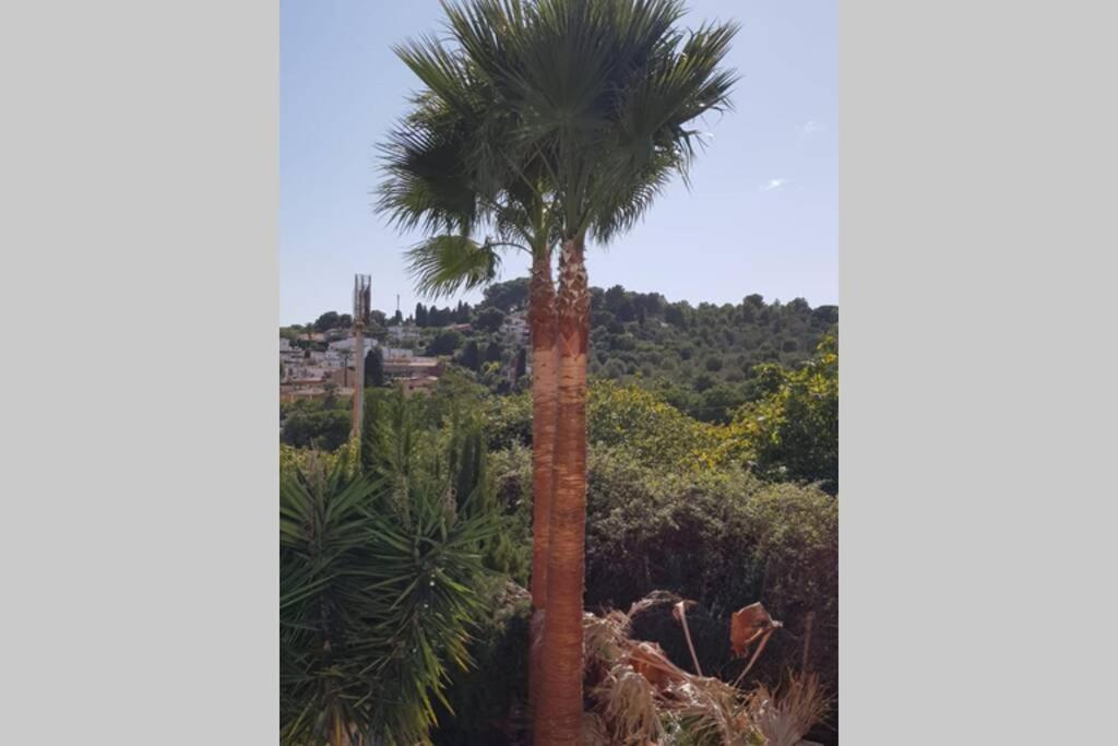 Appartement Casa Rustica à Torremolinos Extérieur photo